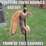 caught squirrel.jpg