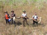 Everglades Python.jpg