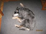 IMG_1422.JPG