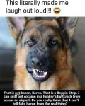 Beggin Strip.jpg