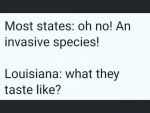 louisiana.jpg