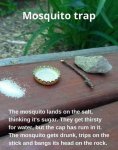 mosquito_trap1633023118.jpg