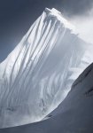 A rare snow leopard roaming on Mount Everest at 18,000ft, photo published in @thetimes today b...jpg