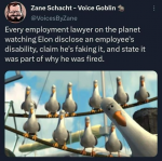 1678308209576.png