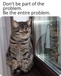 IMG_0994.jpeg