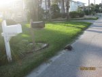 IMG_1468.JPG