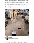 MuseumCat.jpg