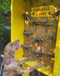 DogStickLibrary.jpg