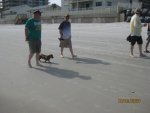IMG_2413.JPG