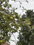 IMG_5886.jpeg
