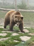 IMG_0362.jpeg