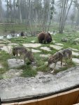 IMG_0369.jpeg