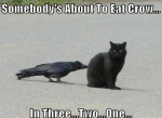 IMG_0287.png