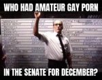 gaypornsenate.jpg
