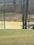 IMG_1765.jpeg