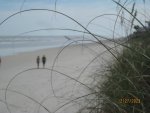 IMG_3400.JPG