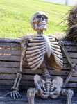 1705122736289.png 1705122736289.png
