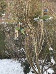IMG_6398.jpeg