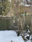 IMG_6403.jpeg