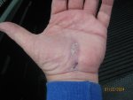 IMG_3612.JPG