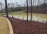 IMG_1882.jpeg