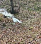 IMG_1883.jpeg
