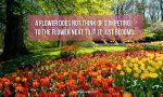 life-quote-flower-competing.jpg