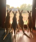 Hooray! Mumâ€™s home. Milk time!.jpg