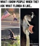 Florida.jpg