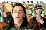 loki.JPG