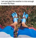 a flip.png