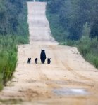 somewhere in the Ocala National Forest.jpg