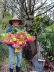 Grevilleas, Bankias, Wattle and Paper Daisies..jpg