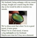 IMG_2295.jpeg