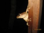 IMG_6694.JPG