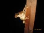 IMG_6695.JPG