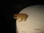 IMG_6698.JPG