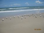 IMG_6855.JPG