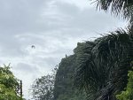 IMG_1977.JPEG