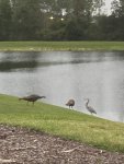 IMG_0641.JPEG