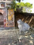 IMG_2326.JPEG