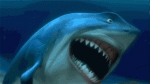 1726371171805.gif
