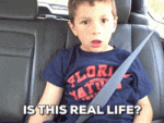 1732415731085.gif