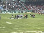 IMG_8368.jpeg IMG_8368.jpeg