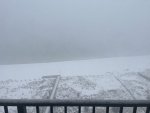 IMG_7834.jpeg