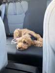 IMG_0710.jpeg
