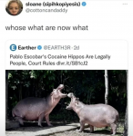 1741720576765.png