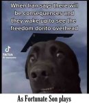 dorito.jpg dorito.jpg