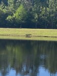 IMG_3583.JPEG