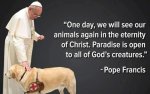 pope.jpg